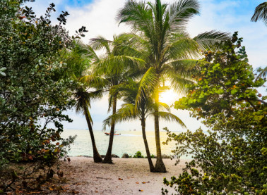 Kayaking in Key West: Tours, Rentals, Fishing, Mangroves & Snorkeling [2020 Guide] - Paddling Magazine