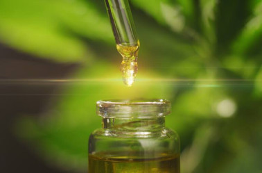 Benefits Of CBD Oil On Mental And Physical Health