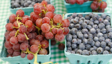 When Blueberries and Grapes Are Combined, a Dramatic Decline in Memory Loss and Aging – Study