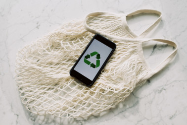Eco Friendly Products: 5 Good Reasons Why You Should Consider Them